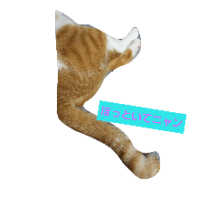 [LINEスタンプ] 飼い猫チャトさん②