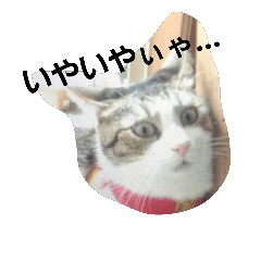 [LINEスタンプ] にゃんたれお