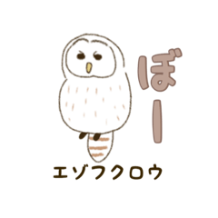 [LINEスタンプ] 北海道の動物スタンプ