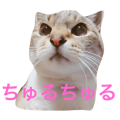 [LINEスタンプ] がっくんの楽しい毎日