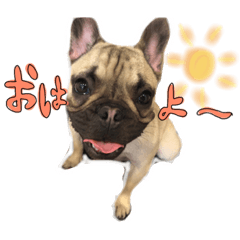 [LINEスタンプ] フレブルのぽのちゃん①