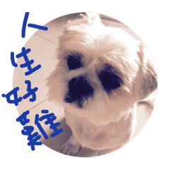 [LINEスタンプ] 犬の人生