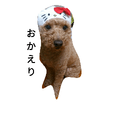 [LINEスタンプ] ワン、にゃん