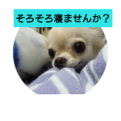 [LINEスタンプ] 我が家のくっく