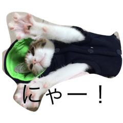 [LINEスタンプ] ののライフ