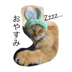 [LINEスタンプ] 猫ねこネコcat