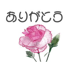 [LINEスタンプ] 花・鳥