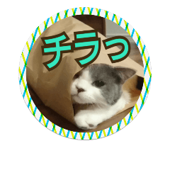 [LINEスタンプ] あるこーる②