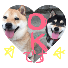 [LINEスタンプ] 我が家の柴犬＆チワワ