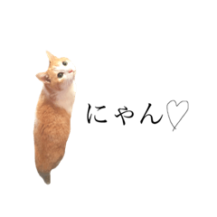 [LINEスタンプ] うちの猫さま5(擬音語とか)