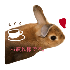 [LINEスタンプ] うさぎのおもちとお友達