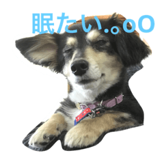 [LINEスタンプ] チワックスとあ