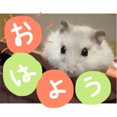 [LINEスタンプ] はくべい