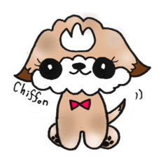 [LINEスタンプ] シーズー犬【シフォンちゃん】