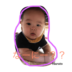 [LINEスタンプ] 遙くんスタンプその1