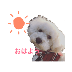 [LINEスタンプ] ころんくんの日常