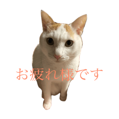 [LINEスタンプ] まる①