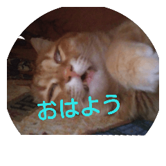 [LINEスタンプ] レオン＆蘭丸