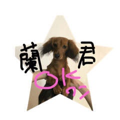 [LINEスタンプ] 蘭君