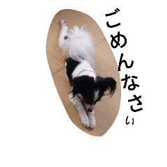 [LINEスタンプ] 光男くんdog