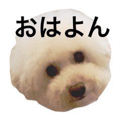 [LINEスタンプ] よういちくん