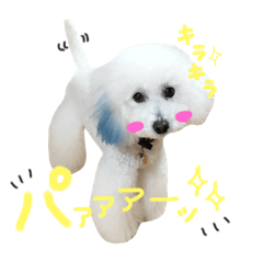 [LINEスタンプ] 自分のための夢くんスタンプ