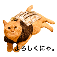 [LINEスタンプ] との 我が家のでぶ猫