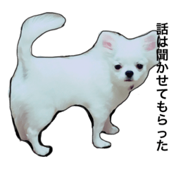 [LINEスタンプ] チワワばむ(シュールな日常会話)