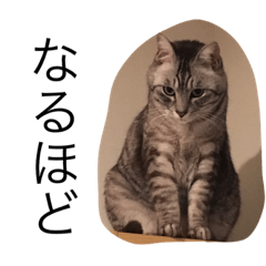 [LINEスタンプ] ボブたま2