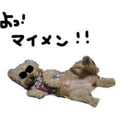 [LINEスタンプ] 犬のうーたん