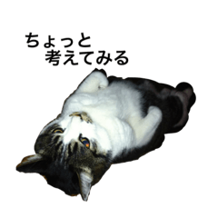 [LINEスタンプ] ワシカ