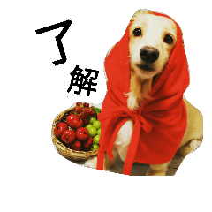 [LINEスタンプ] ダックス家族①