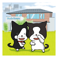 [LINEスタンプ] ノンちゃんの家のネコ ＝ミー子とギン＝