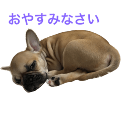 [LINEスタンプ] ベルちゃんむぎちゃん2