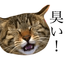 [LINEスタンプ] 紺