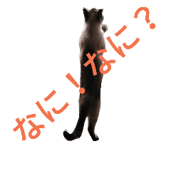 [LINEスタンプ] ともぞうです。