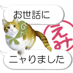 [LINEスタンプ] えみちゃんのハンコ入りしゃべるネコちゃんの画像（メイン）