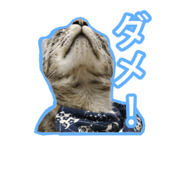 [LINEスタンプ] にく団子猫の日常