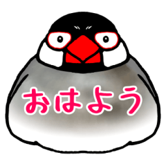 [LINEスタンプ] ザ・桜文鳥