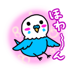 [LINEスタンプ] セキセイインコぴぴこの日常