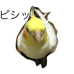 [LINEスタンプ] さくら2.22