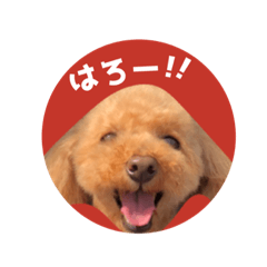 [LINEスタンプ] 茶といぷ×白といぷ