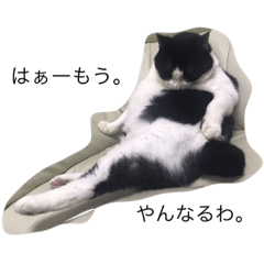 [LINEスタンプ] はちわれ猫の名言スタンプ