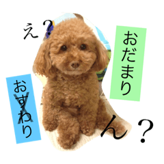 [LINEスタンプ] エルくんワールド❷