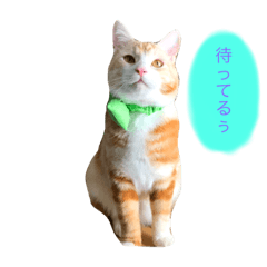 [LINEスタンプ] ロイすた