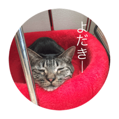 [LINEスタンプ] 招かない猫達