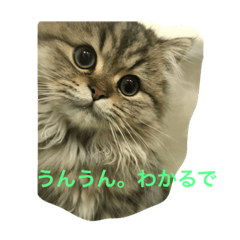 [LINEスタンプ] なにわのおたま