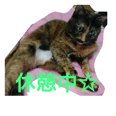 [LINEスタンプ] びびちゃんの一言