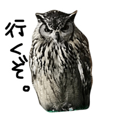 [LINEスタンプ] さまざまな動物たち