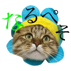 [LINEスタンプ] けだまだお